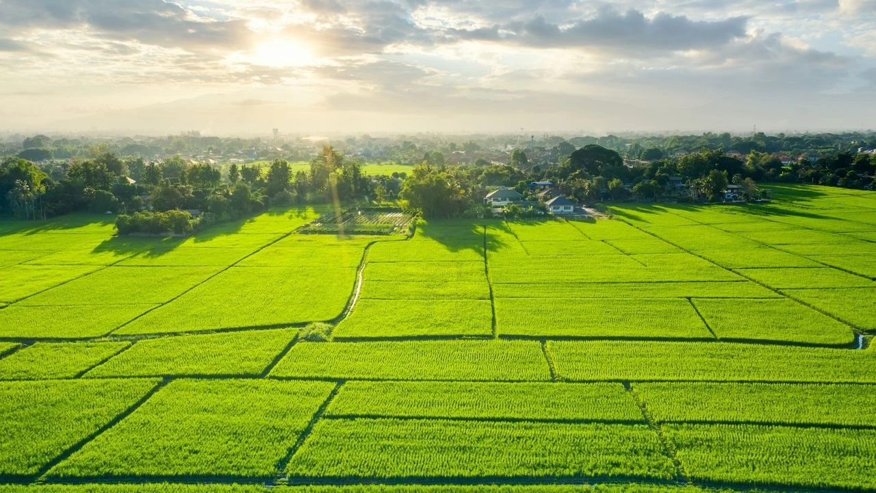 Devlet 2 yıl boyunca kira ödeyecek! Tapusu olanların başına talih kuşu kondu: Kiralama başvuruları alınacak - 2. Resim