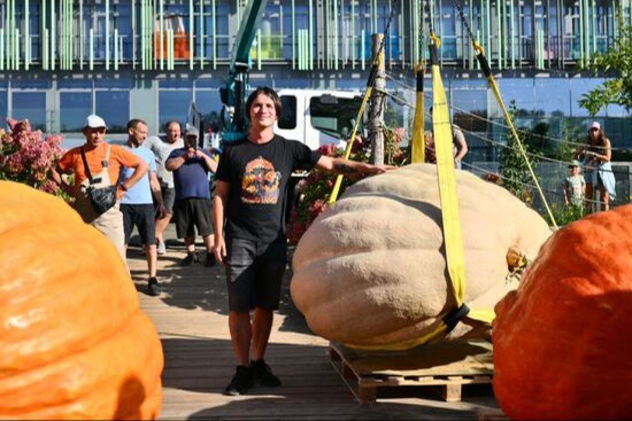 Bir dana ağırlığında bal kabağı! Amatör yetiştiriciden rekor geldi