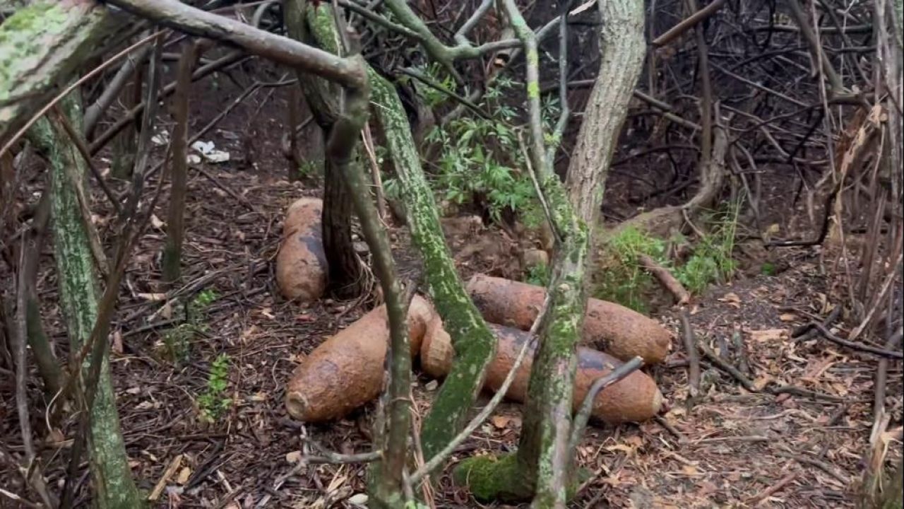 Çanakkale Savaşı'nda kullanılacaktı! 109 yıl sonra tesadüfen bulundu - 5. Resim