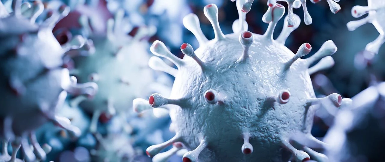 Covid-19'un yeni varyantı XEC için alarm verildi: 3 kıtaya yayıldı, belirtilerine dikkat! - 1. Resim