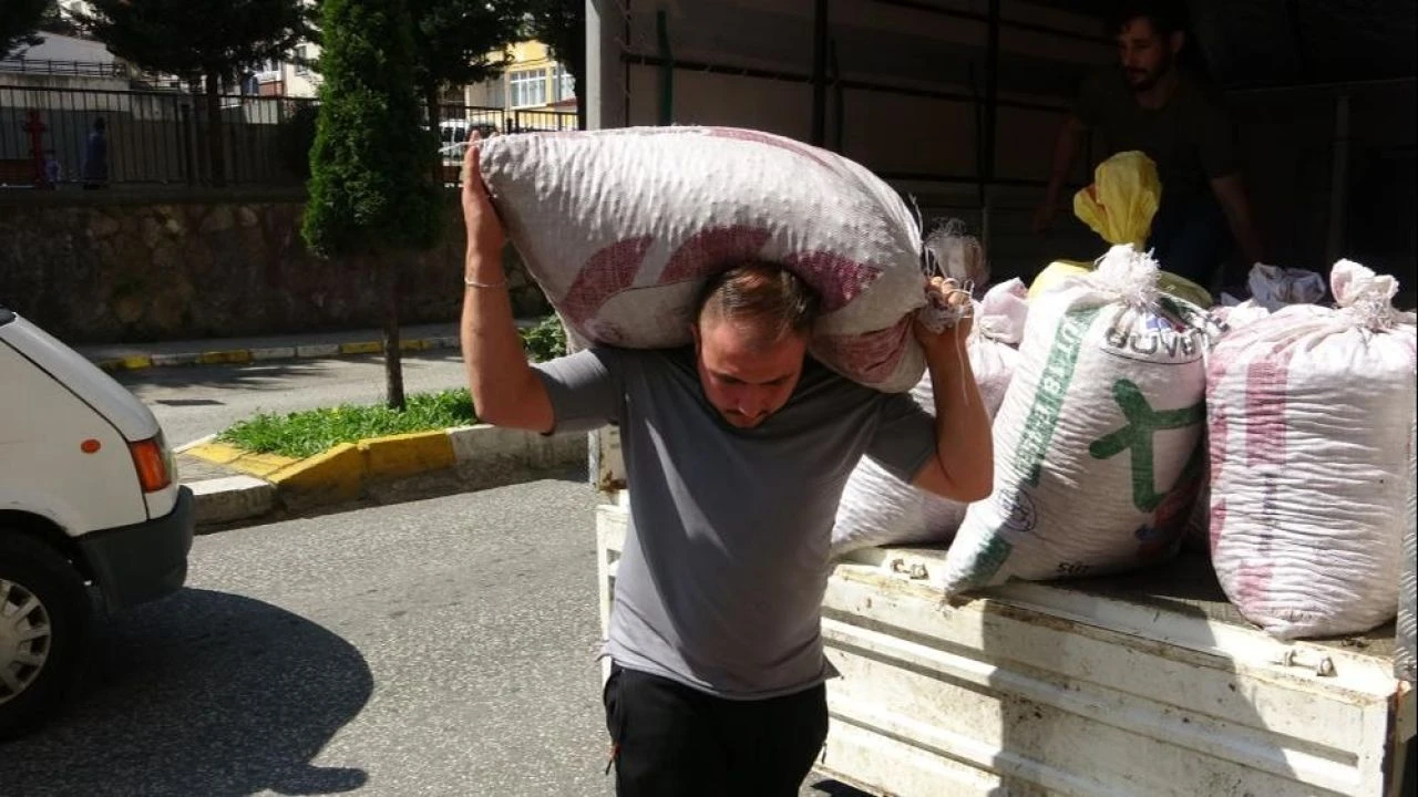 Fındık fiyatları üreticiyi üzdü alıcıyı sevindirdi!