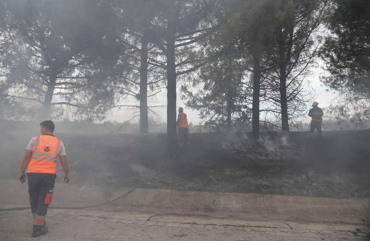 İstanbul-Edirne yolunda yangın: Ekipler seferber oldu! - 1. Resim