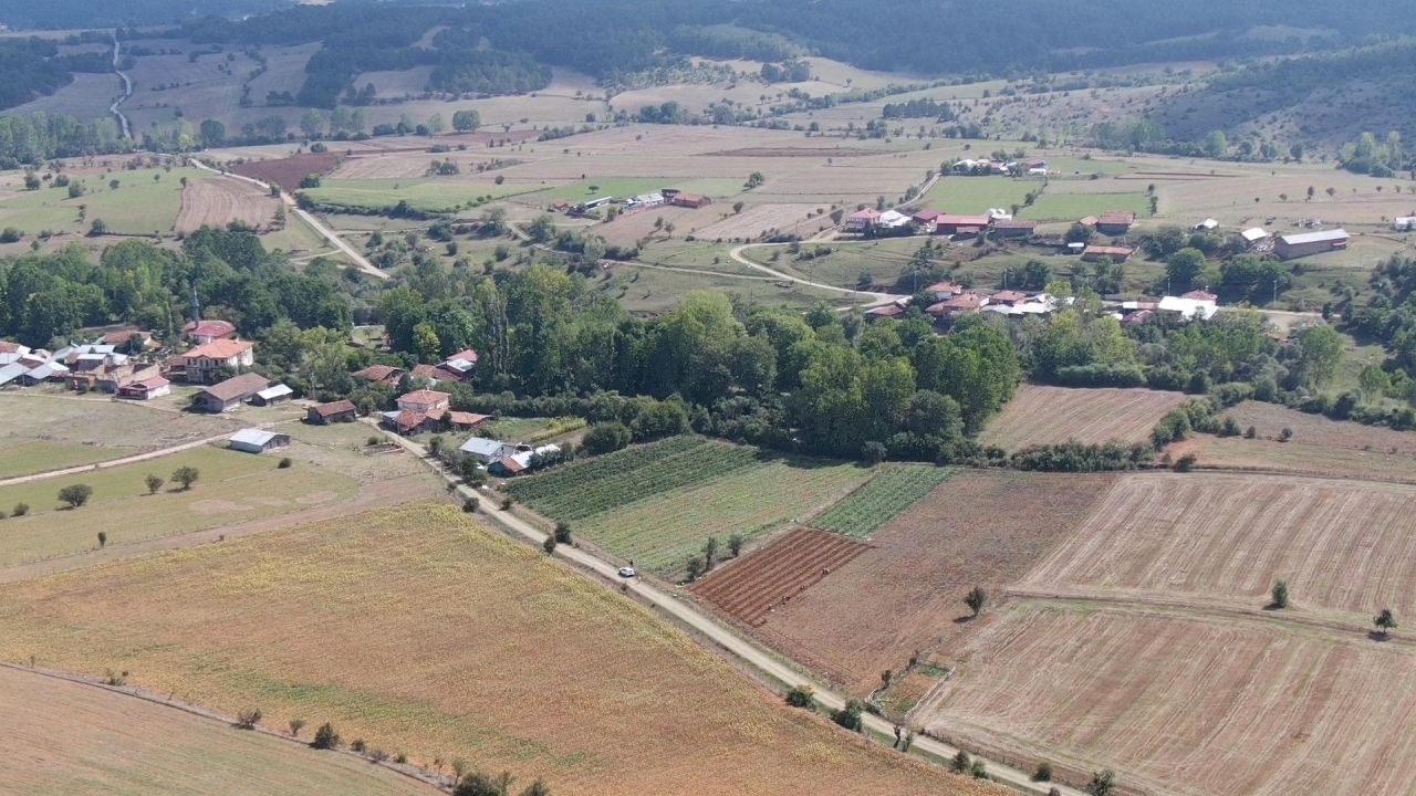 Yurt dışından getirdi, denemek için dikti! Şimdi sipariş yağıyor - 1. Resim