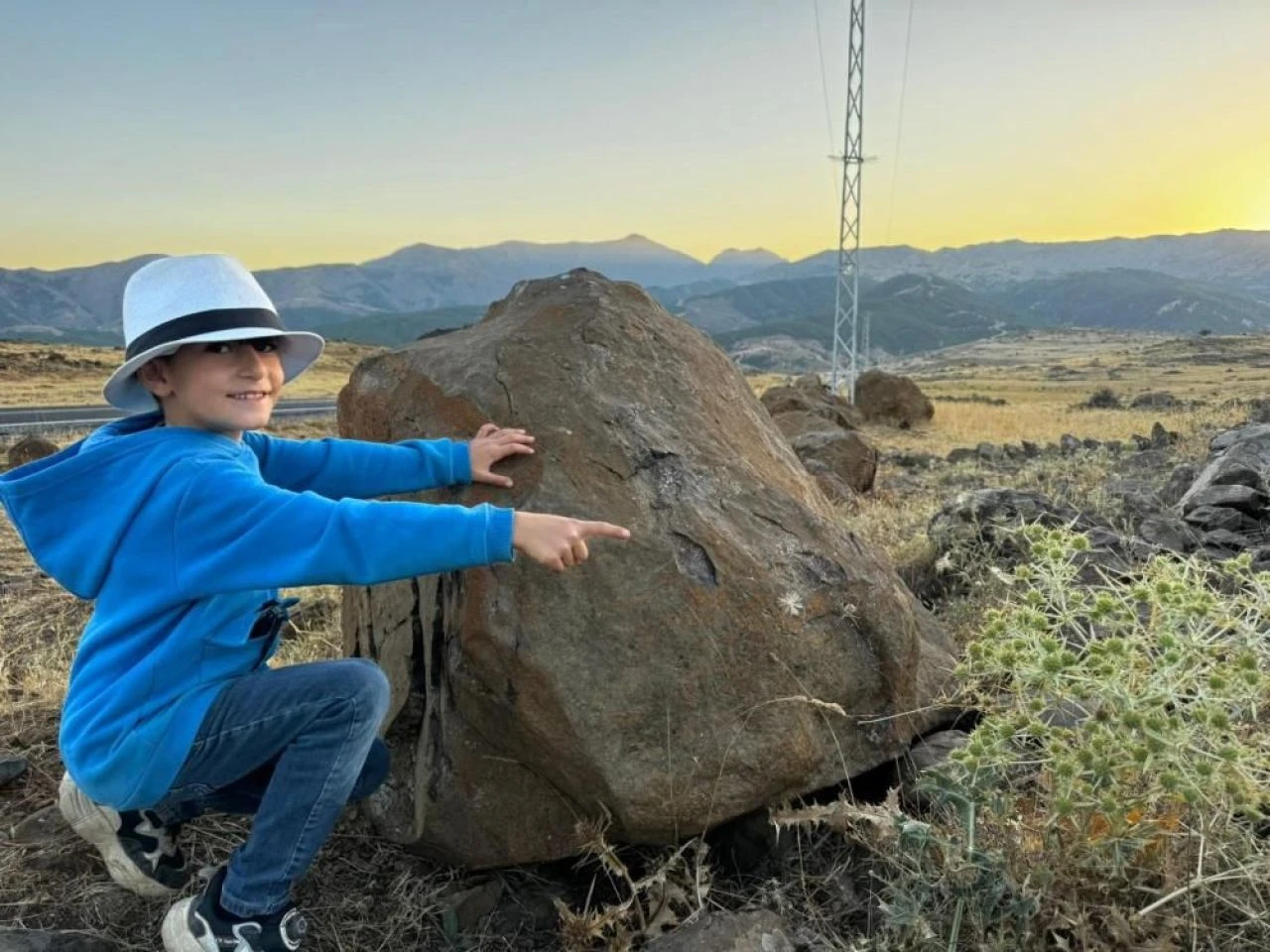 Zehirli örümcek türü argiope lobata Muş’ta görüldü! - 1. Resim