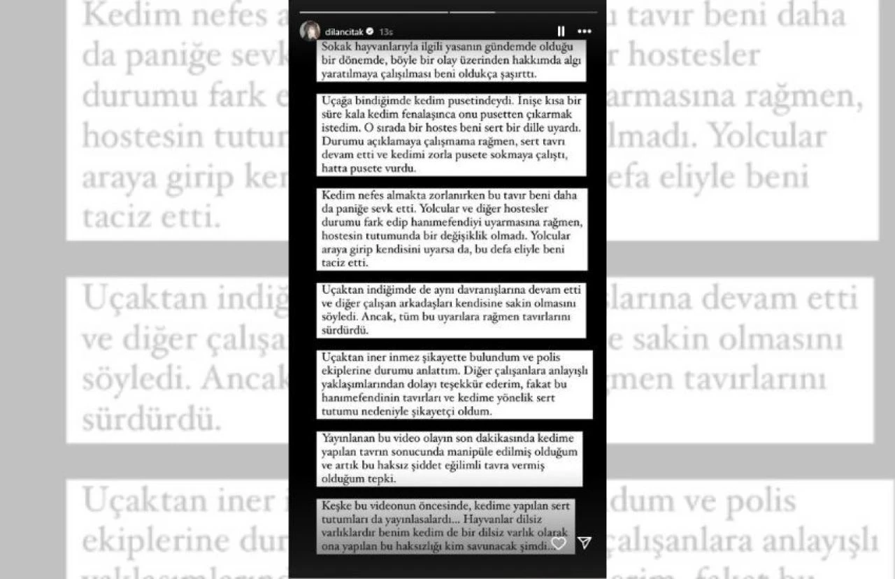 Dilan Çıtak Tatlıses kabin görevlisine saldırmıştı! Şiddet sonrası ilk açıklama geldi