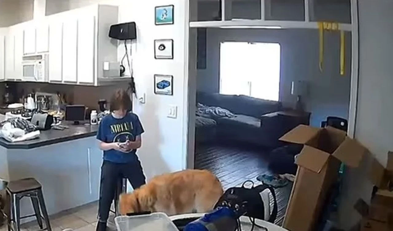 Annesini öldürüp üvey babasını eve çağırdı! 15 yaşındaki çocuğun korkunç planı