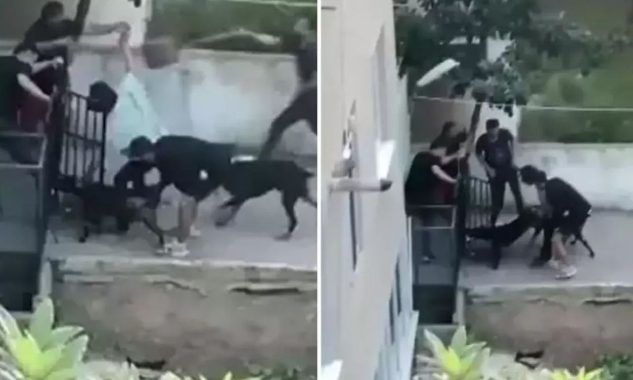 Pitbull saldırısına uğrayan adam yaşadığı dehşeti anlattı: Bir çocuk olsa ayağını koparırdı - 1. Resim