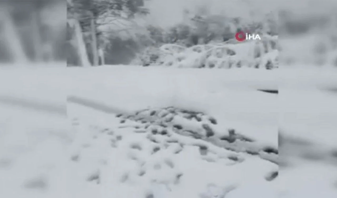 On iki yılda 2. kez! Güney Afrika'da kar hayatı felç etti - 6. Resim