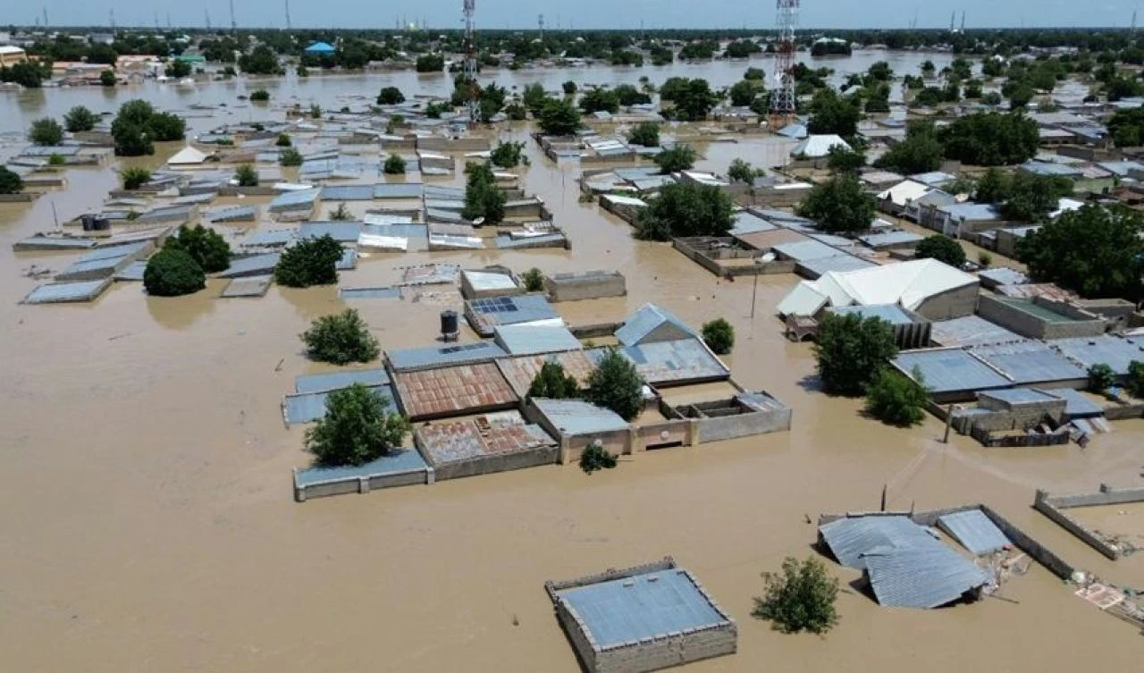 Timsah ve yılanlar, insanların arasına karıştı! Mahkumlar firar etti, ülke felaketi yaşıyor - 1. Resim