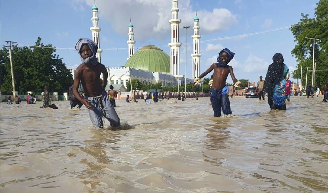 Timsah ve yılanlar, insanların arasına karıştı! Mahkumlar firar etti, ülke felaketi yaşıyor - 2. Resim