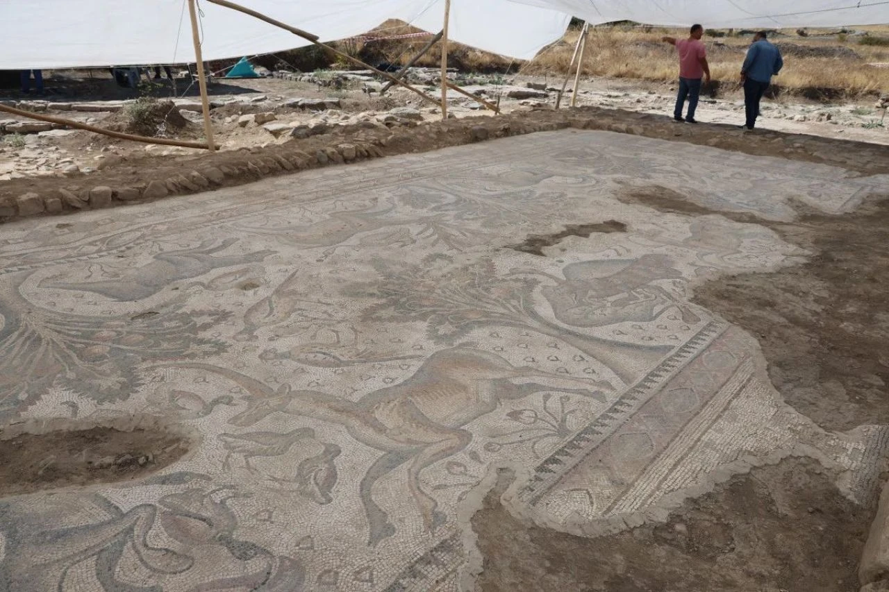 Türkiye'de bir ilk! Elazığ'da 84 metrekarelik mozaik gün yüzüne çıkarıldı