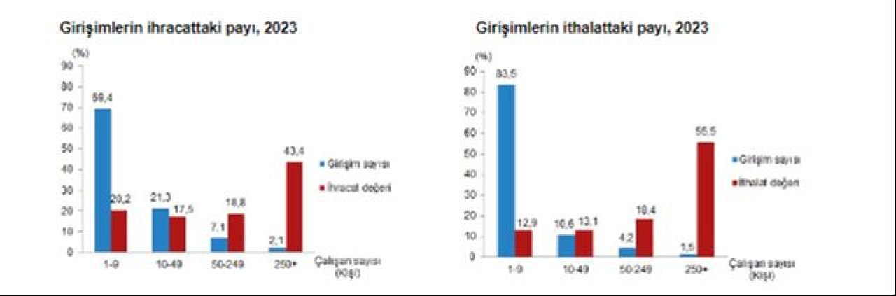 İhracatın yarısından fazlasını sanayi sırtladı! İşte girişim özelliklerine göre dış ticaret istatistikleri - 1. Resim