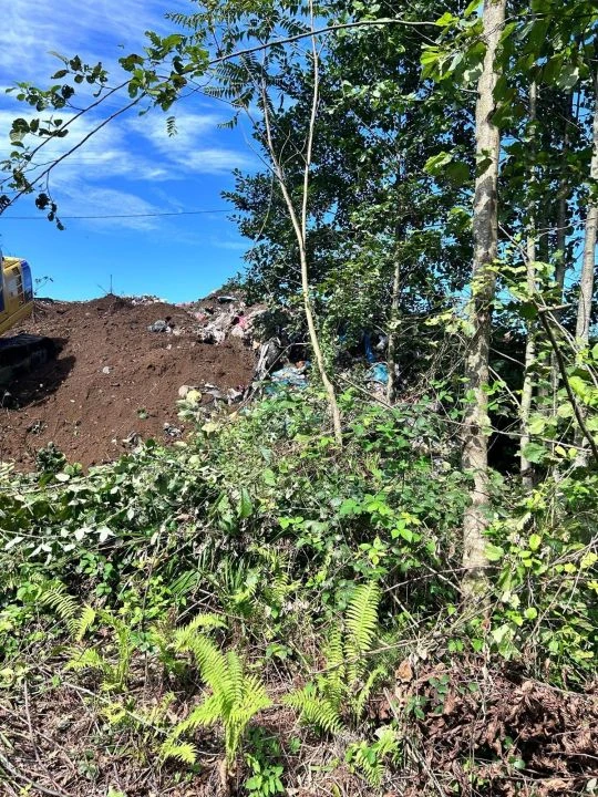 Trabzon'dan sonra şimdi de Rize! Yaptıkları suçun üzerini örtmeye çalıştılar: Bakanlık affetmedi - 1. Resim