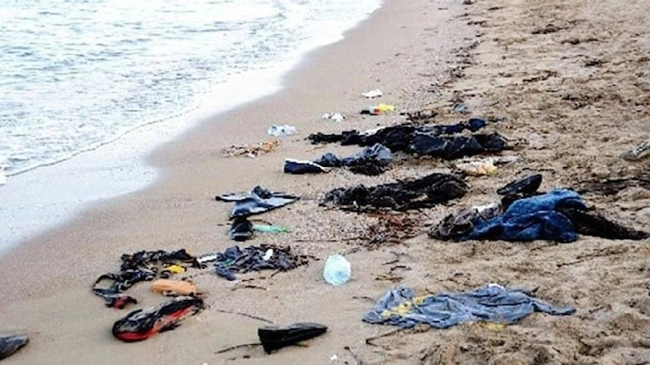 Sahilde dehşete düşüren manzara! Görenin tüyleri diken diken oldu - 1. Resim