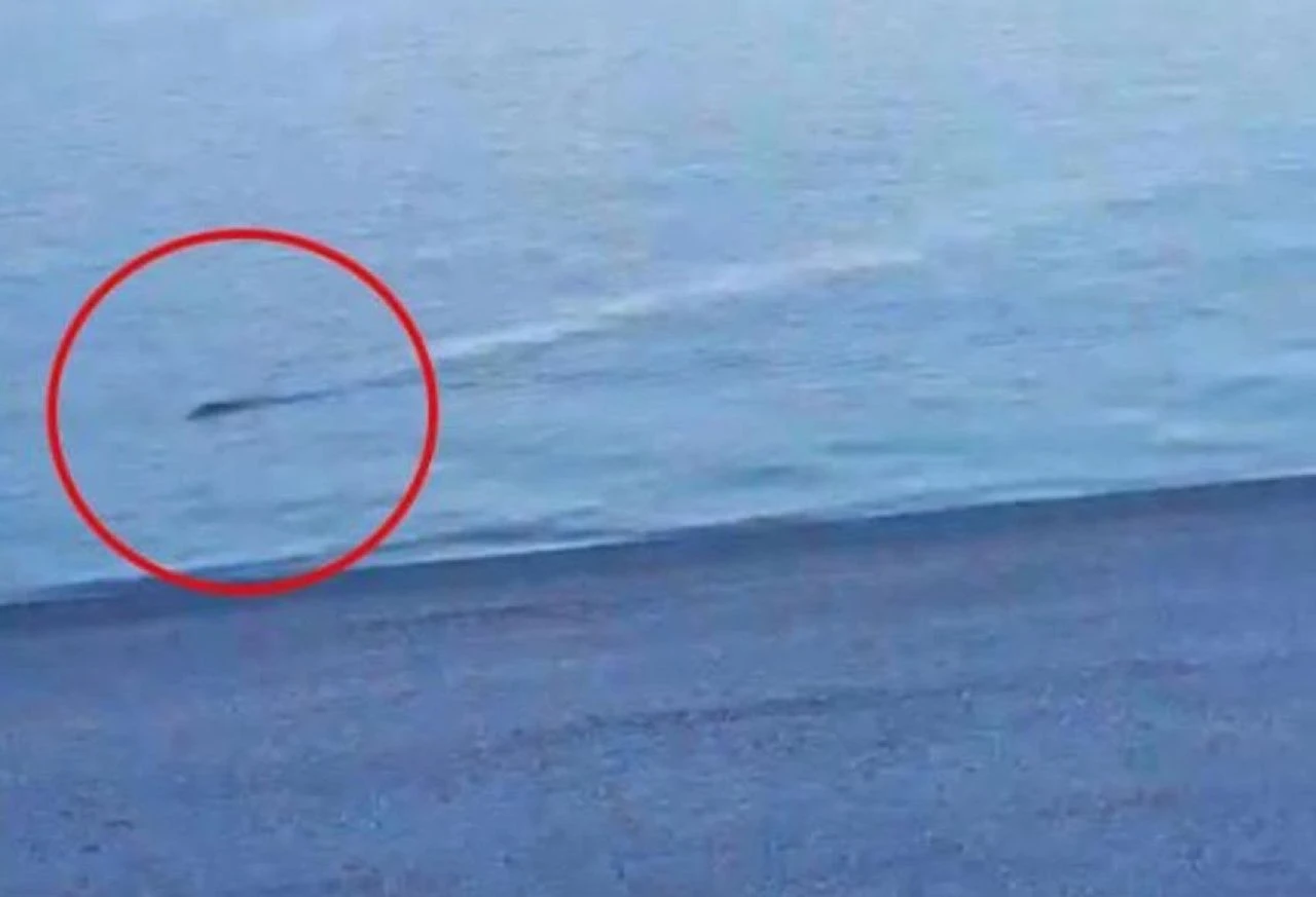 Van Gölü Canavarı'nın kardeşi İskoçya'da ortaya çıktı! Kameraya yakalandı