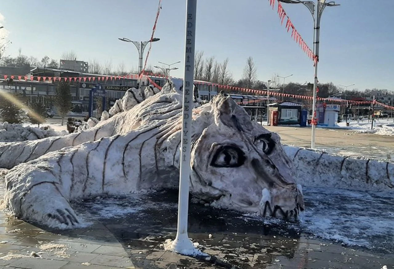 Van Gölü Canavarı'nın kardeşi İskoçya'da ortaya çıktı! Kameraya yakalandı