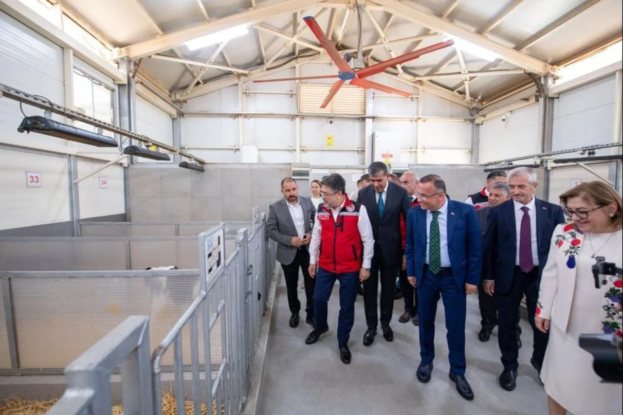 Bakan duyurdu: 2 milyar 900 milyon TL bugün hesaplara yatıyor - 1. Resim