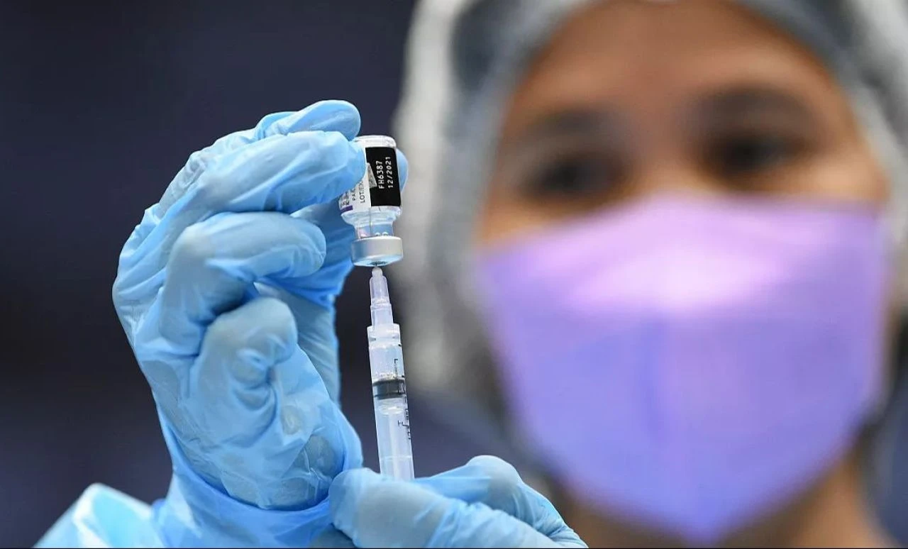 Yarasalarla ilgili ürküten araştırma: Salgınlara hazır olun! 10 yeni virüs keşfedildi