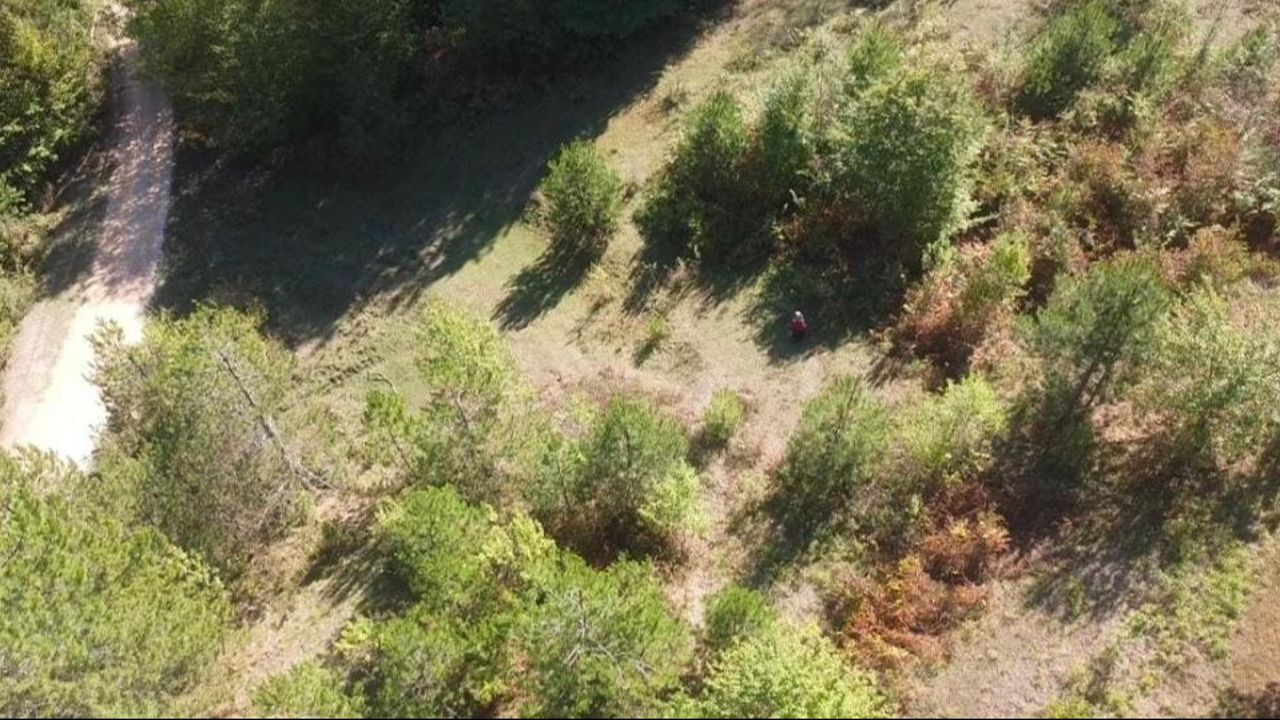 Mantar yasağına uymayanlar dronle tespit edildi!