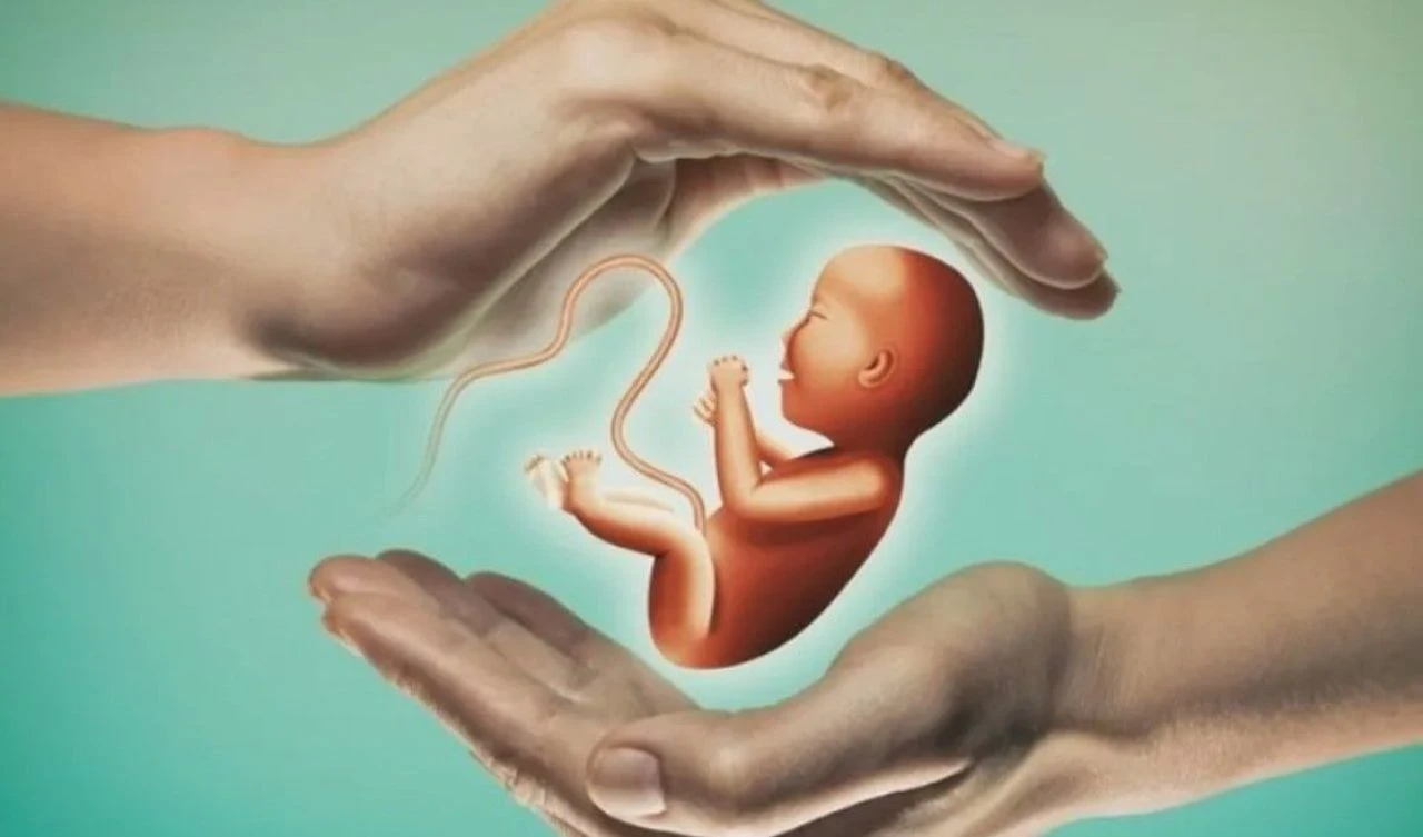 Tüp bebeklerle ilgili üzücü araştırma! Doğal yolla doğan bebeklerden yüzde 36 daha fazla görüldü - 1. Resim