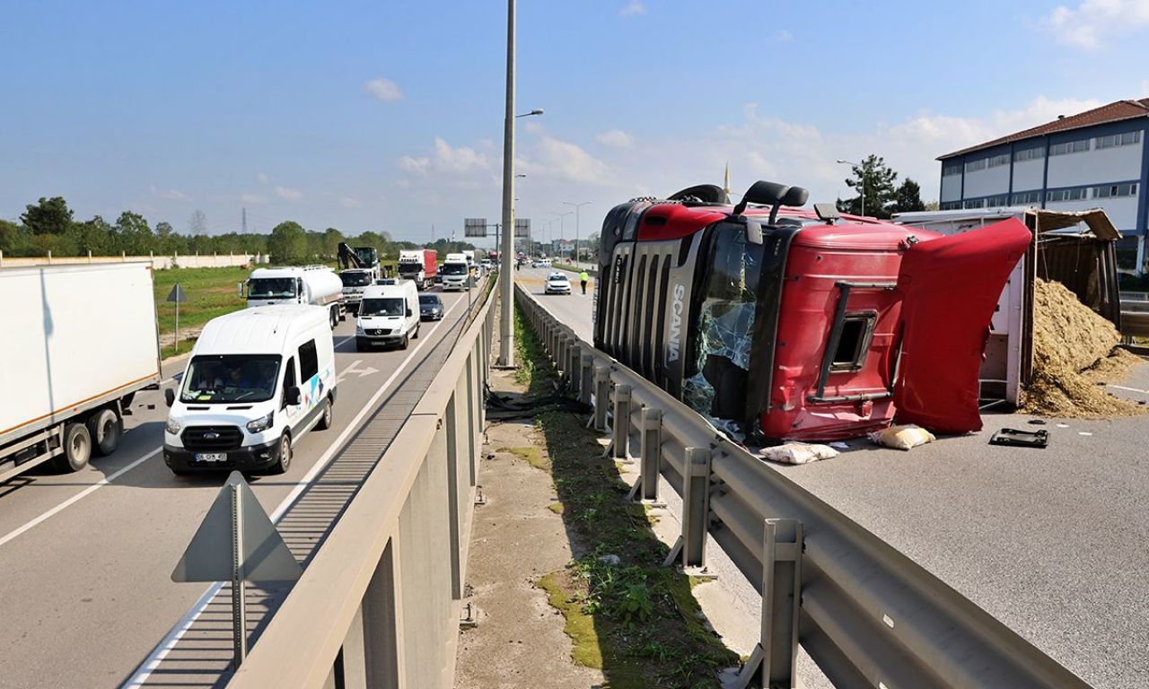 Arı soktu, ortalık karıştı! Devrilen tır 50 metre sürüklendi - 1. Resim