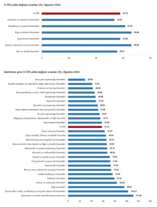 Hizmet üretici fiyat endeksi aylık ve yıllık bazda yükseldi