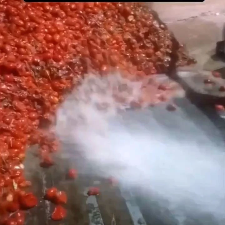 Salça fabrikasında iğrenç görüntüler! "Buram buram kanser kokuyor" - 1. Resim