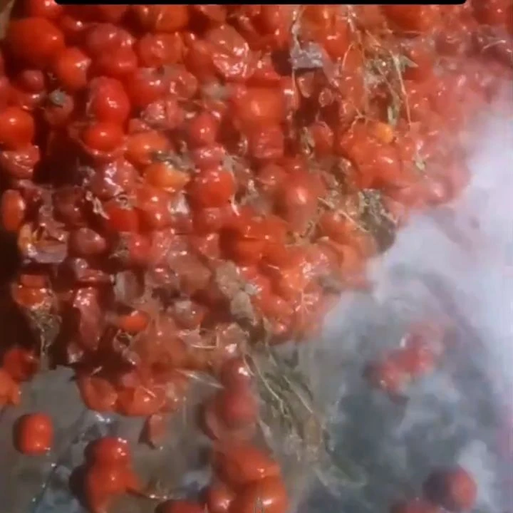 Salça fabrikasında iğrenç görüntüler! "Buram buram kanser kokuyor" - 3. Resim