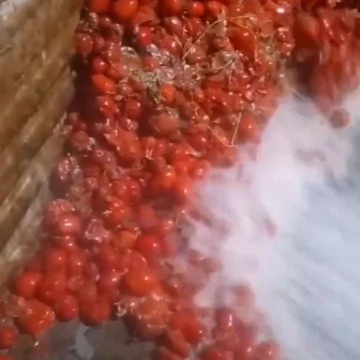 Salça fabrikasında iğrenç görüntüler! "Buram buram kanser kokuyor" - 2. Resim