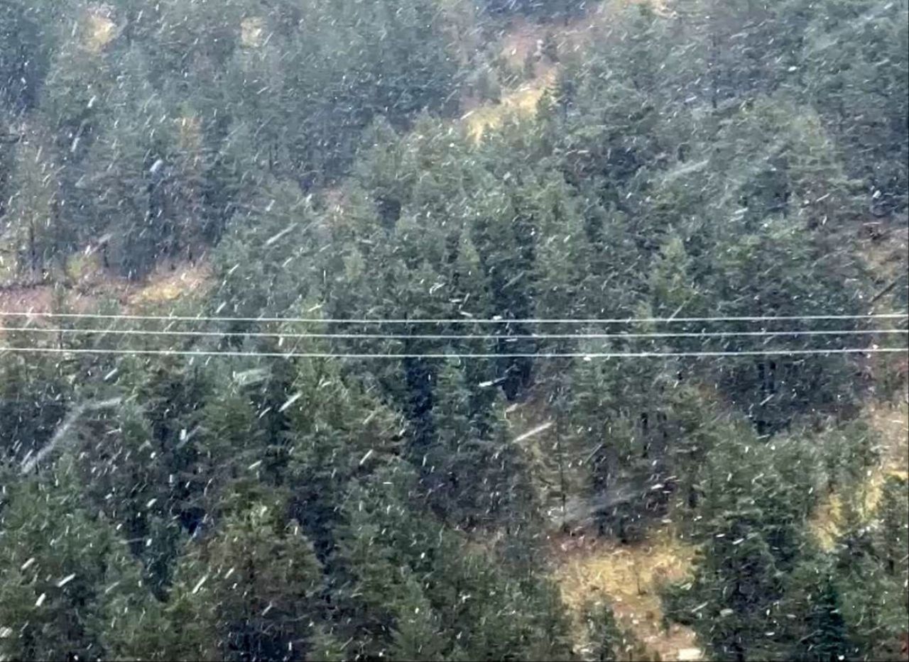 Bolu'da mevsimin ilk kar yağışı! Bazı bölgeler beyaza büründü - 1. Resim