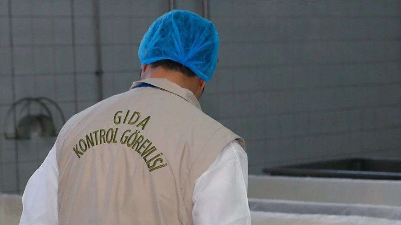 Güvenilir gıdada yeni dönem bugün anlatılacak - 1. Resim