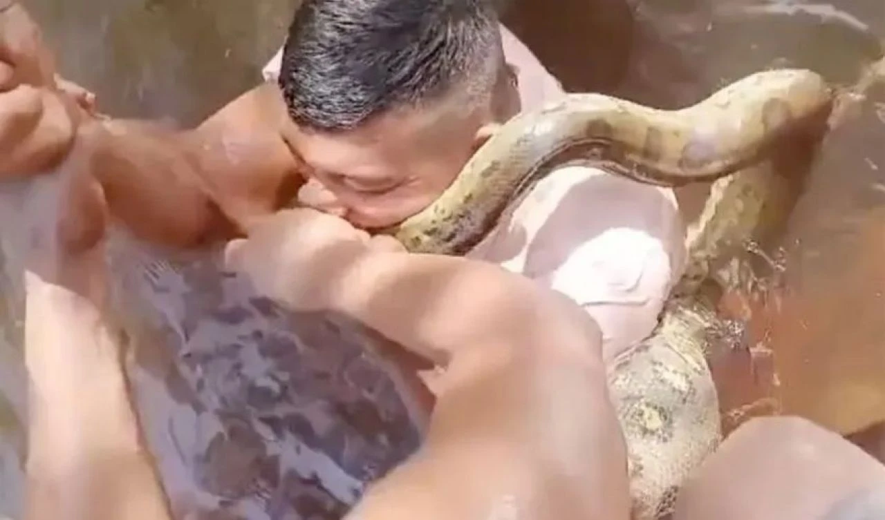 Dev canavara yem oluyordu! Kurtulma yöntemi herkesi şoke etti - 1. Resim