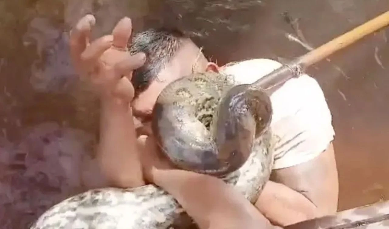 Dev canavara yem oluyordu! Kurtulma yöntemi herkesi şoke etti - 2. Resim