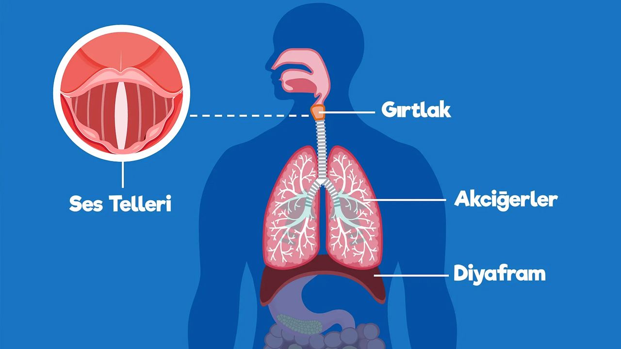 Hıçkırık neden olur ve nasıl geçer? Hıçkırığa ne iyi gelir? - 2. Resim