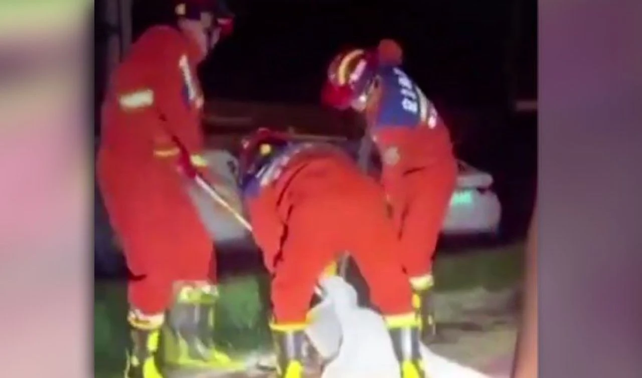 Alkollü adam pitonla güreş tuttu! O anlar sosyal medyada hızla yayıldı - 3. Resim