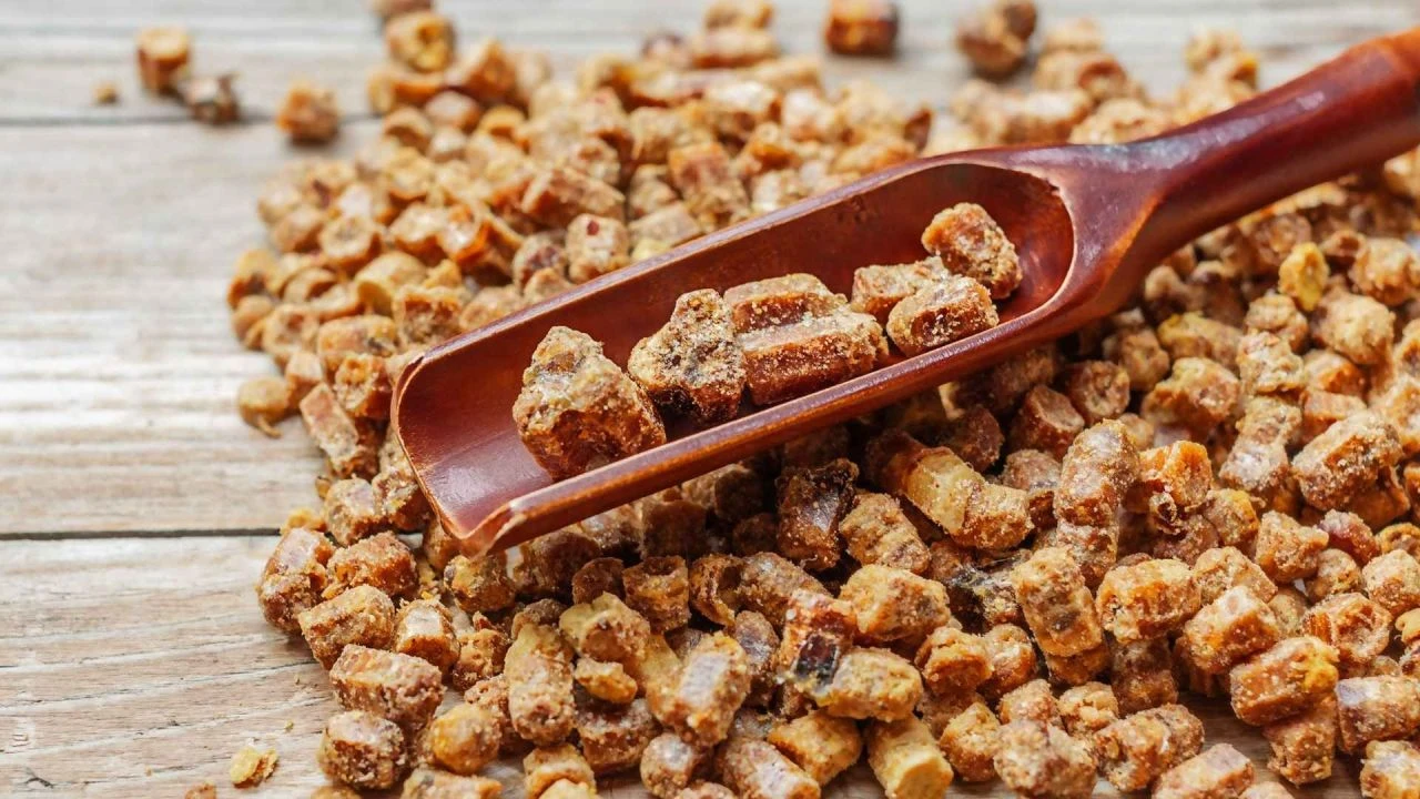 Arılar yavruları bu besinle besliyor! Günlük bir avuç yemek diş eti kanamalarını bitiriyor - 1. Resim