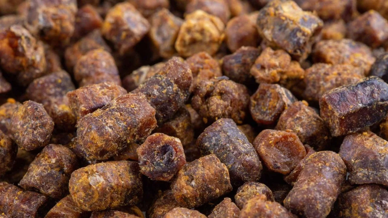 Arılar yavruları bu besinle besliyor! Günlük bir avuç yemek diş eti kanamalarını bitiriyor - 3. Resim