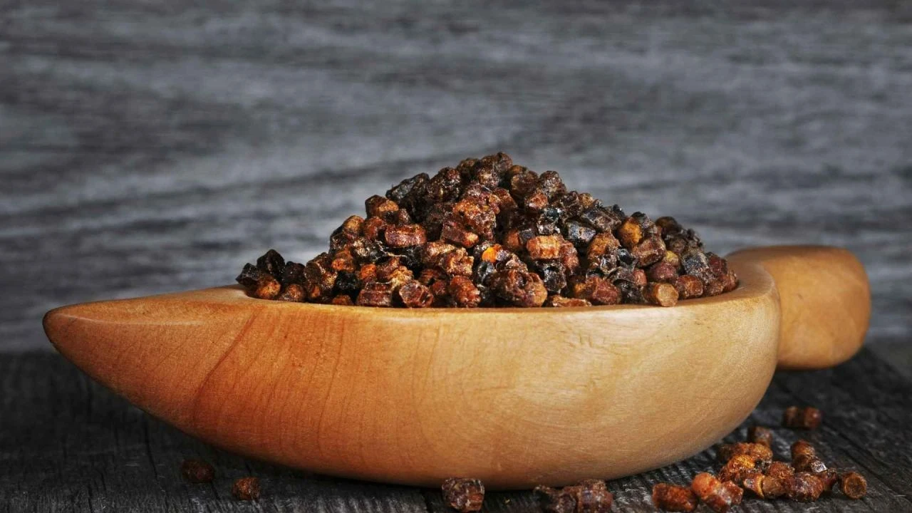 Arılar yavruları bu besinle besliyor! Günlük bir avuç yemek diş eti kanamalarını bitiriyor - 4. Resim