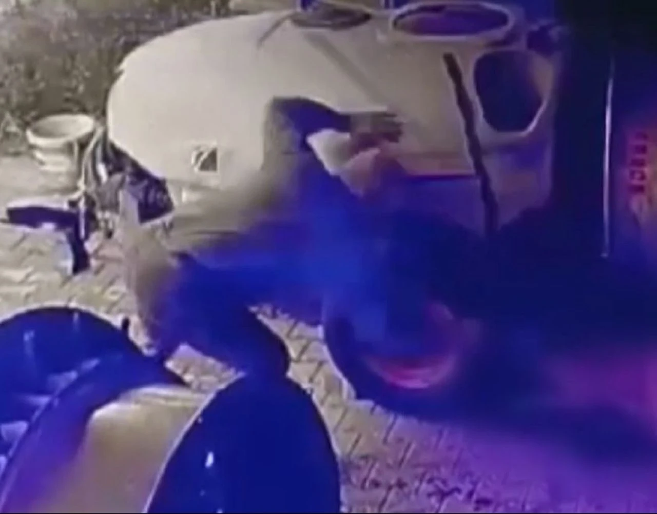 Bursa’da tavuğunu yiyen köpeği sopayla böyle öldürdü!