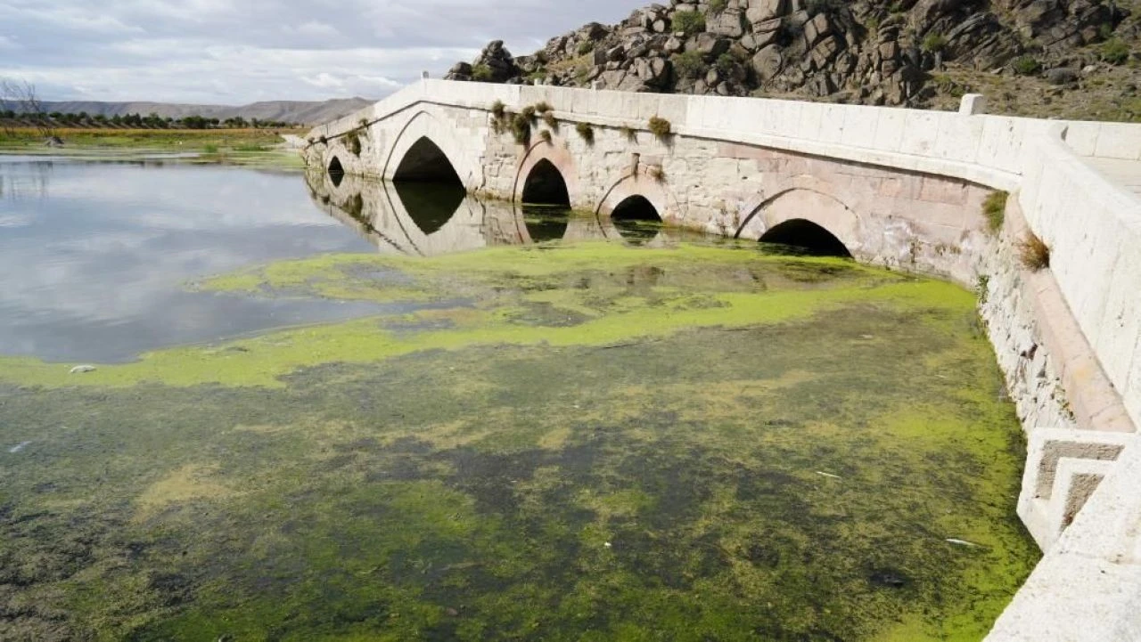 Kırıkkale’de toplu balık ölümleri tedirgin etti: İlk kez karşılaştık! - 2. Resim