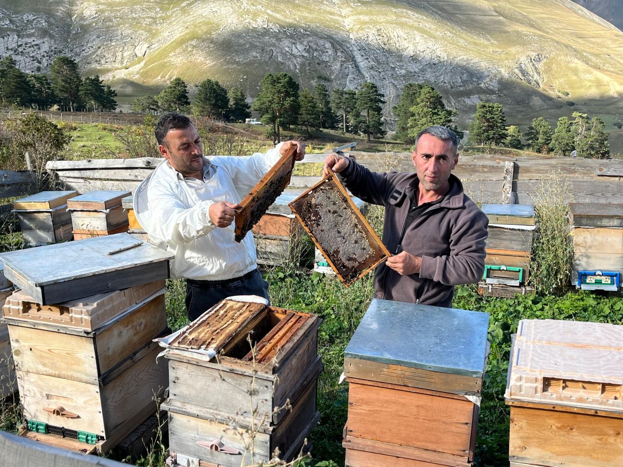 Yıllar önce keşfedildi şimdi değerini katladı! Köylü siparişlere yetişemiyor - 3. Resim