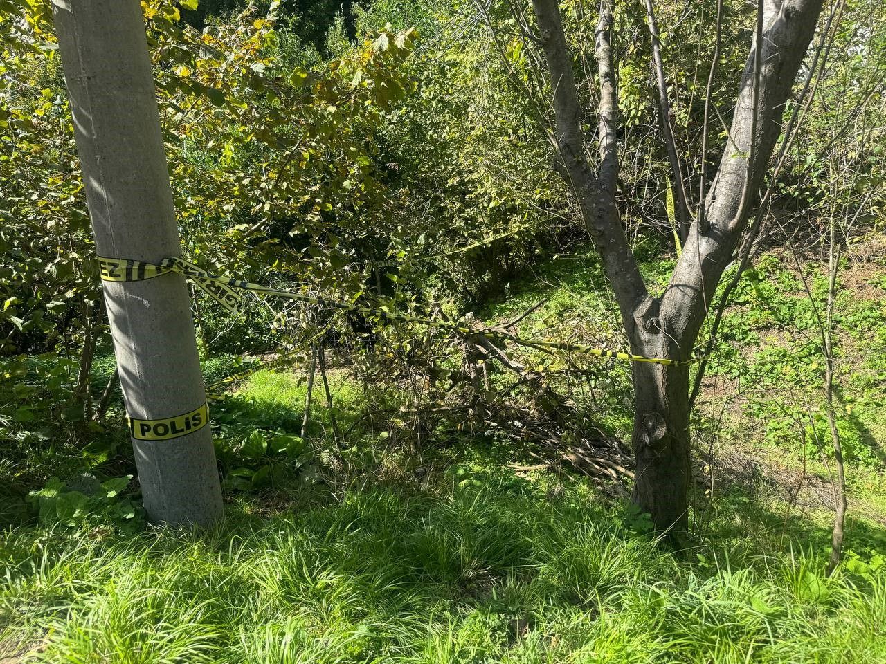 Zonguldak'ta korkunç olay! Evinin bahçesindeki yaşlı kadını domuz sanıp öldürdü - 1. Resim