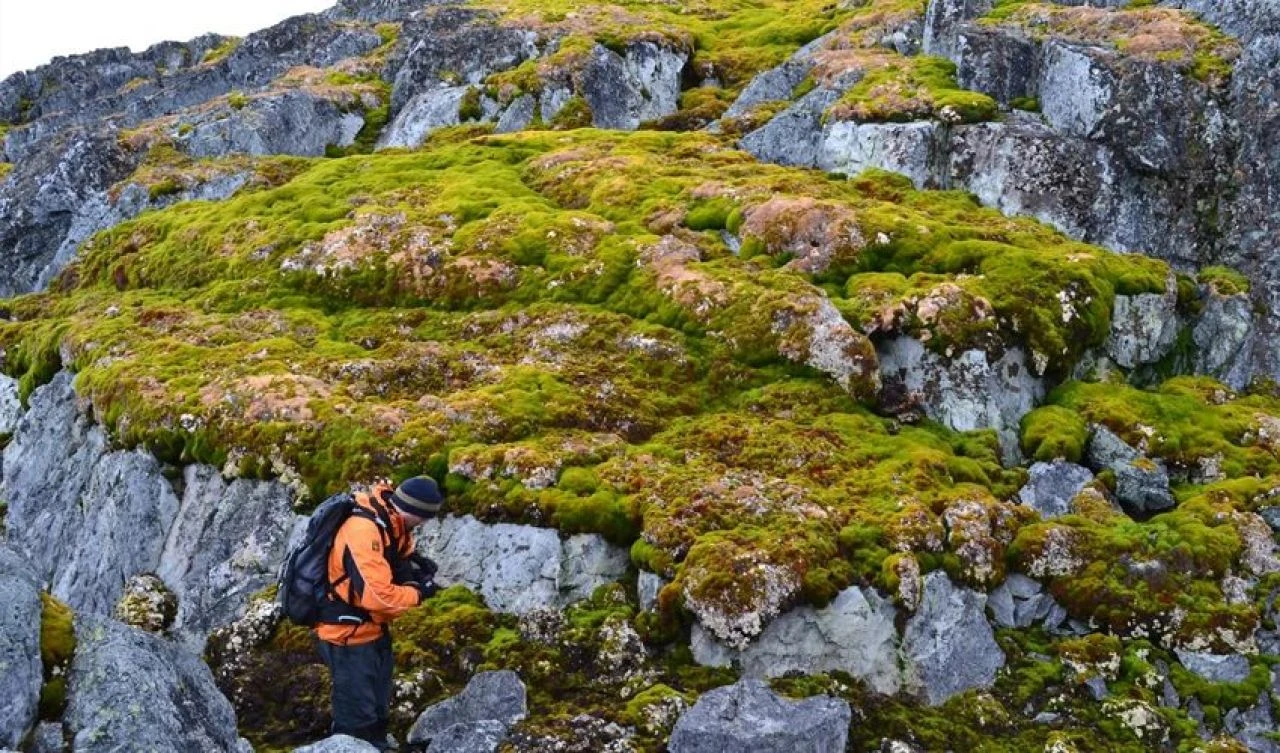 Antarktika artık beyaz değil! Korkutan rapor ortaya çıktı