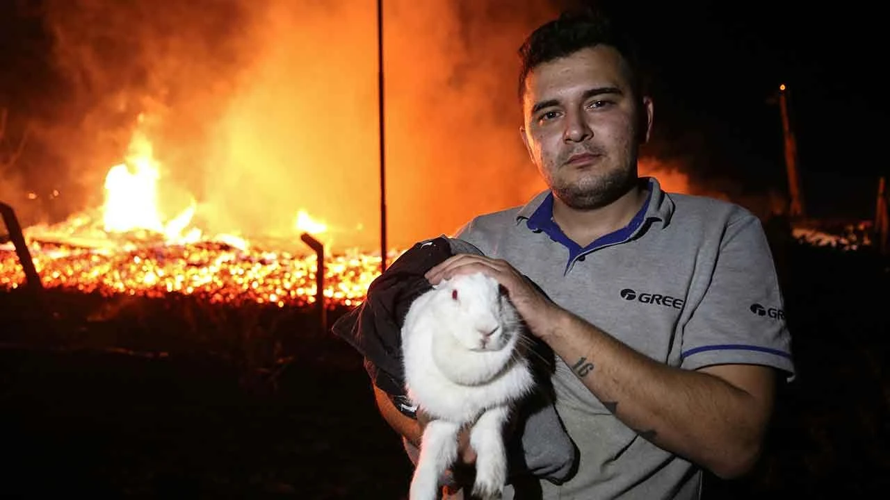 Bursa'da palet fabrikasında yangın! Olay yerine çok sayıda ekip sevk edildi - 3. Resim