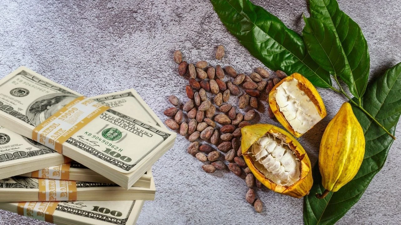 İslam Memiş açıkladı: