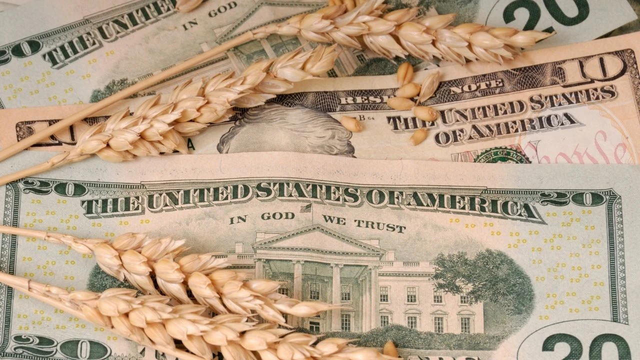 İslam Memiş açıkladı: