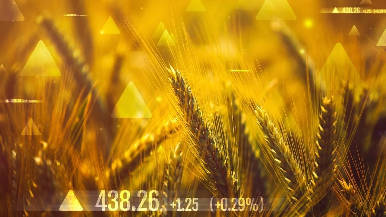 İslam Memiş açıkladı: