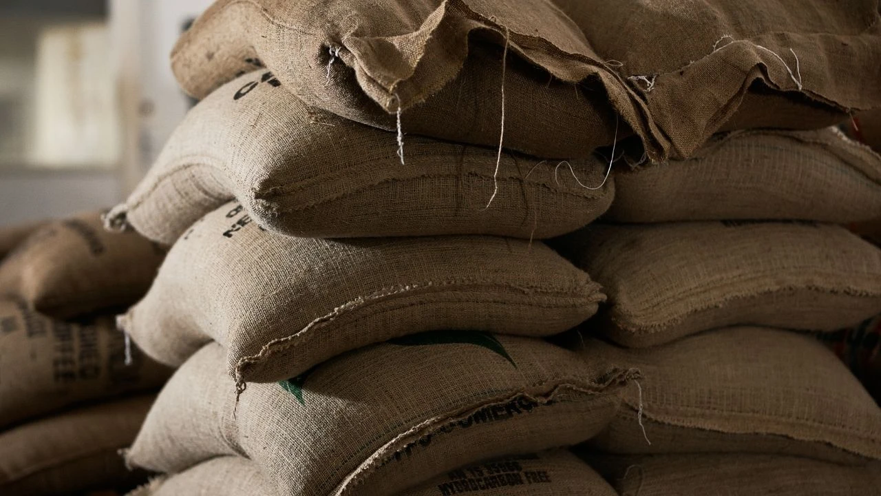 İslam Memiş açıkladı: