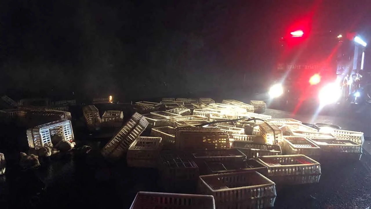 Otoyolda seyir halindeki kamyon yandı: 150 tavuk telef oldu