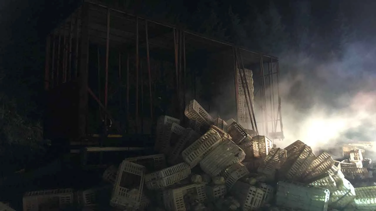 Otoyolda seyir halindeki kamyon yandı: 150 tavuk telef oldu